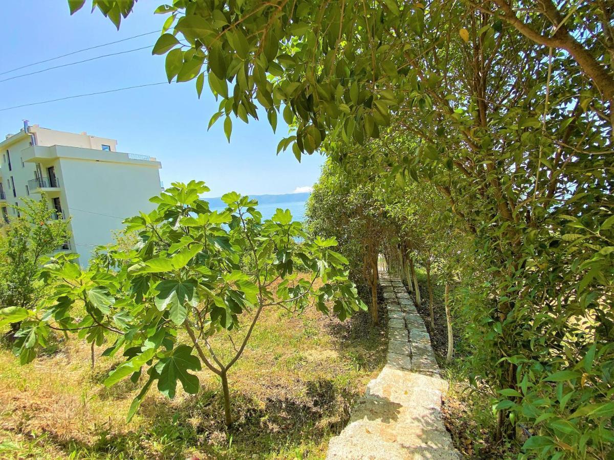 Ramo'S Cozy Beachside Haven With Panoramic Views - 2Nd Вльора Екстер'єр фото